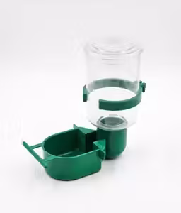 Automatic Bird Water Feeder & Food Dispenser for Budgies, Lovebirds, Finches and Small Birds