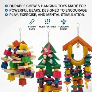 Premium Large Bird Toy Combo – Pack of 3